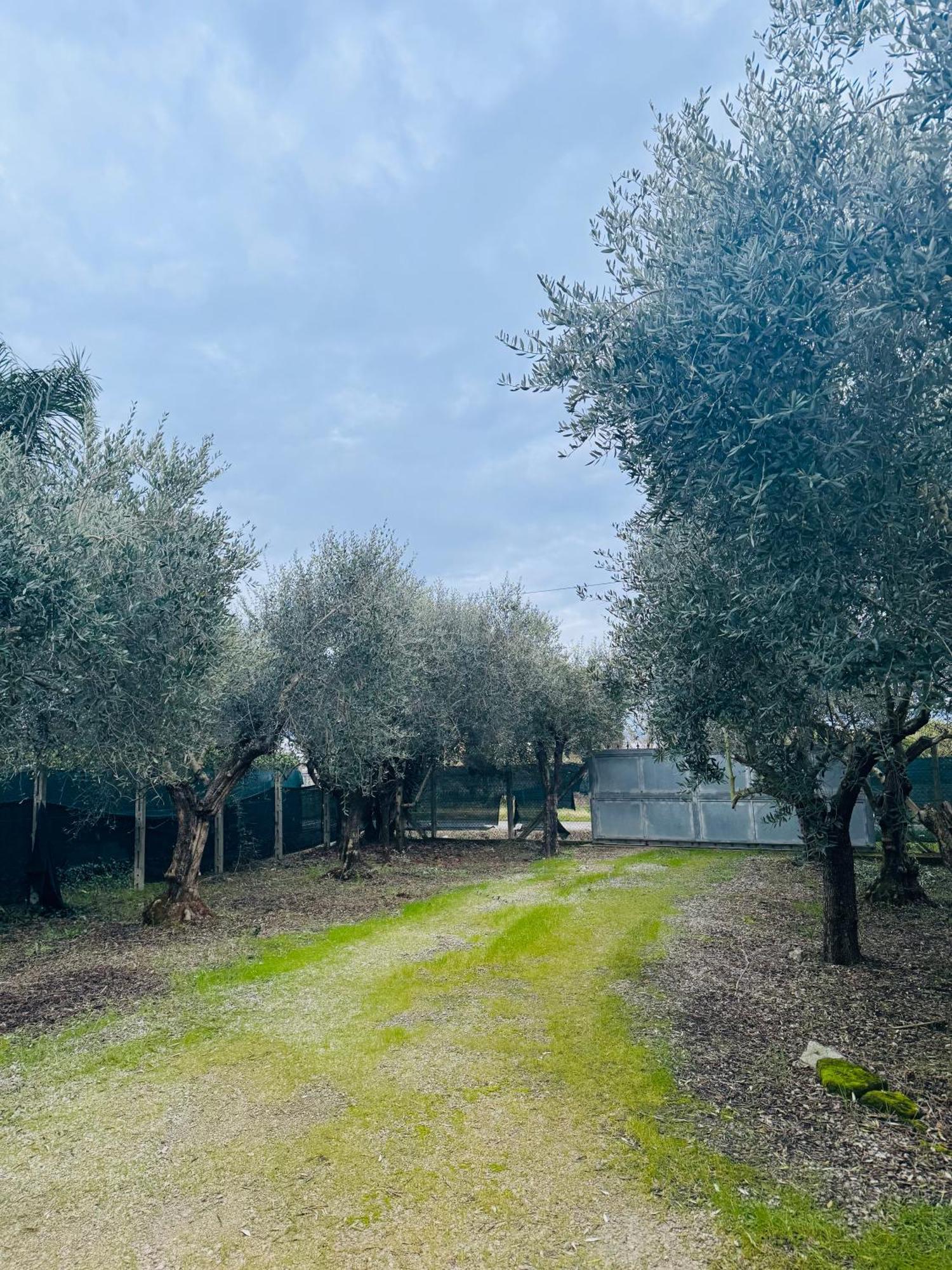 La Perla Di Dea Vila Lido Di Fondi Exterior foto