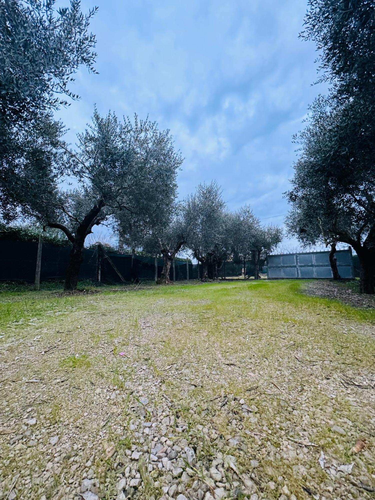 La Perla Di Dea Vila Lido Di Fondi Exterior foto